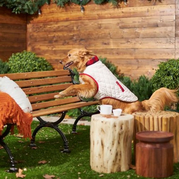 Reversible quilted dog jacket - Picture 6 of 7